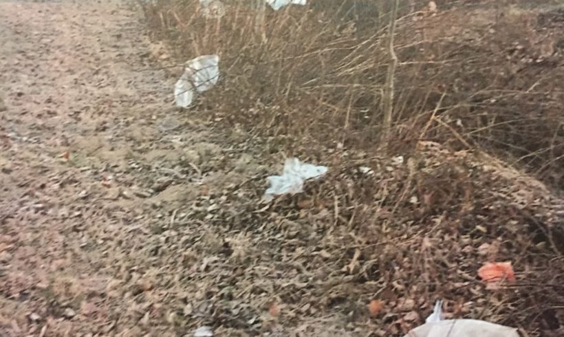 Bollengo: lamentele per inadeguata gestione dei rifiuti nell’area commerciale di Burolo Bollengo: lamentele per inadeguata gestione dei rifiuti nell’area commerciale di Burolo