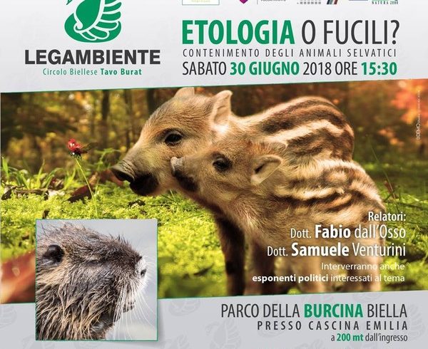Etologia o fucili? Etologia o fucili?