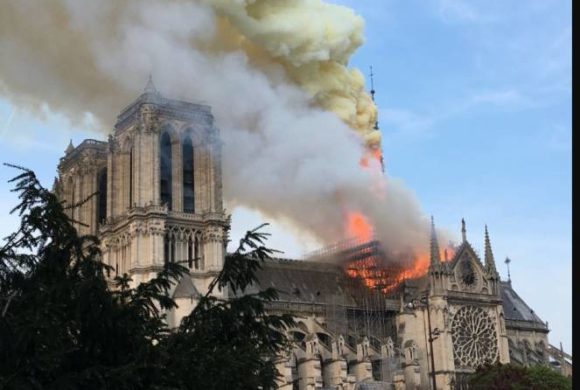 Notre Dam(n)ation Notre Dam(n)ation