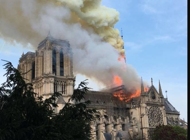 Notre Dam(n)ation Notre Dam(n)ation