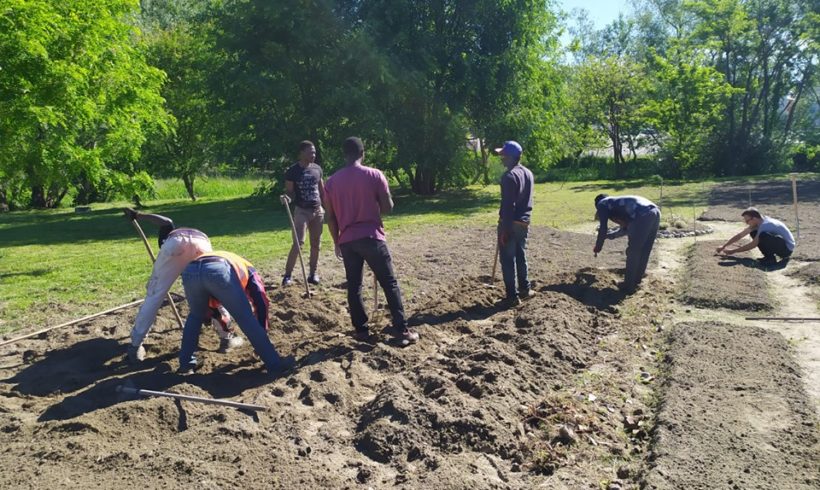 Un nuovo percorso per l’ex lago di Città: sabato 8 giugno inaugurazione dell’Orto della Palude Un nuovo percorso per l’ex lago di Città: sabato 8 giugno inaugurazione dell’Orto della Palude