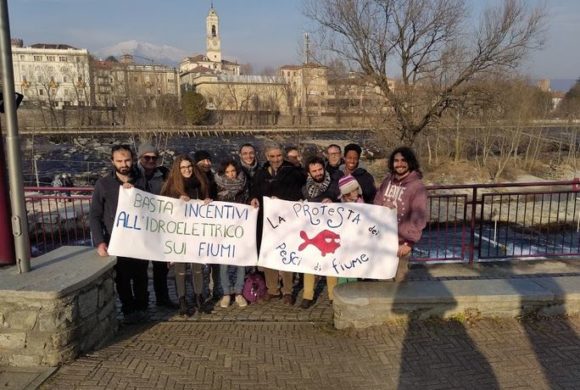 La protesta dei pesci di fiume 100: sit-in e flash mob su fiumi e torrenti, anche a Ivrea La protesta dei pesci di fiume 100: sit-in e flash mob su fiumi e torrenti, anche a Ivrea
