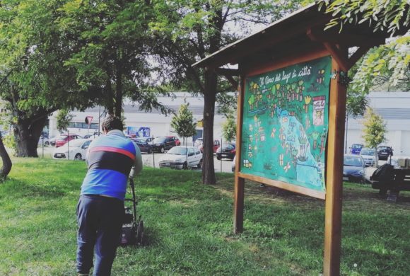 Il Parco del Lago di Città è cresciuto ed è diventato un presidio verde nel cuore d’Ivrea Il Parco del Lago di Città è cresciuto ed è diventato un presidio verde nel cuore d’Ivrea