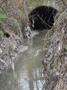 Cloaca a cielo aperto