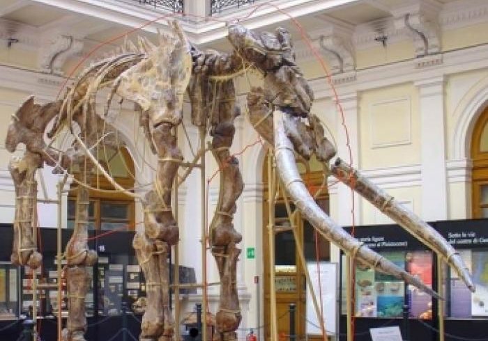 Il Museo di Storia Naturale, un filosofo e una poetessa Il Museo di Storia Naturale, un filosofo e una poetessa
