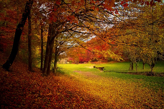 Good Morning Autumn! Good Morning Autumn!