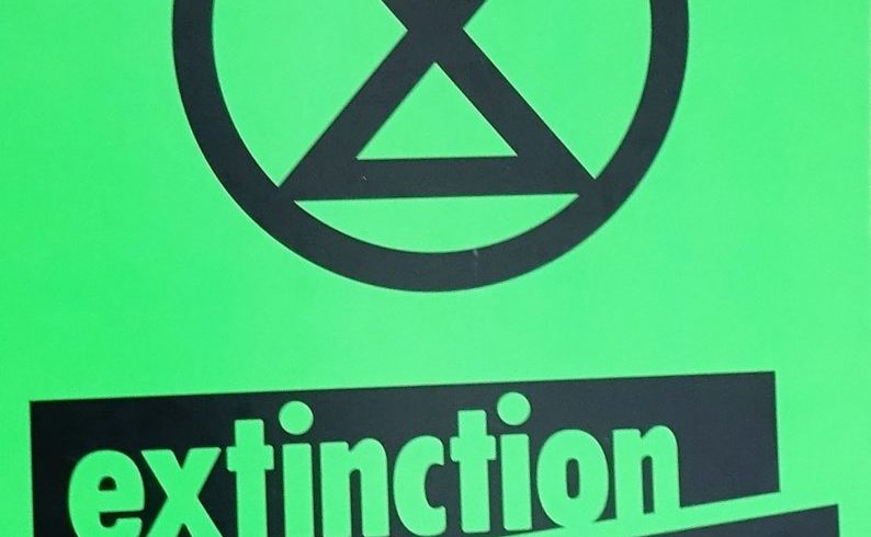 Comunicato da Extinction Rebellion Torino Comunicato da Extinction Rebellion Torino