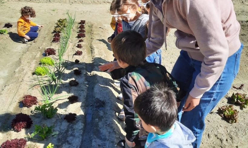 Parte il progetto “Radici di Comunità”: la comunità mette radici in Canavese Parte il progetto “Radici di Comunità”: la comunità mette radici in Canavese