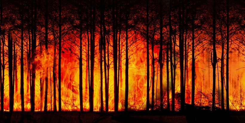 Nucleare, riscaldamento climatico, comunità energetiche: sfide e battaglie dell’ambientalismo nel 2022 Nucleare, riscaldamento climatico, comunità energetiche: sfide e battaglie dell’ambientalismo nel 2022