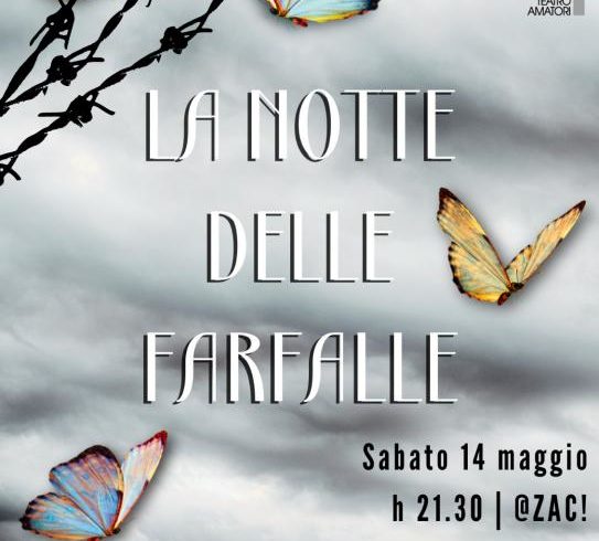 La notte delle farfalle La notte delle farfalle