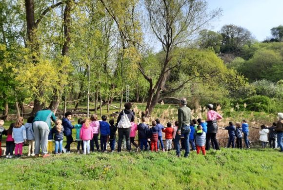Il 2 febbraio è la giornata Mondiale delle Zone Umide: Legambiente: “è una ricchezza unica fondamentale per la vita” Il 2 febbraio è la giornata Mondiale delle Zone Umide: Legambiente: “è una ricchezza unica fondamentale per la vita”