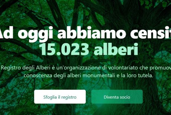 Scoprire alberi rari sul cammino d’Oropa Scoprire alberi rari sul cammino d’Oropa