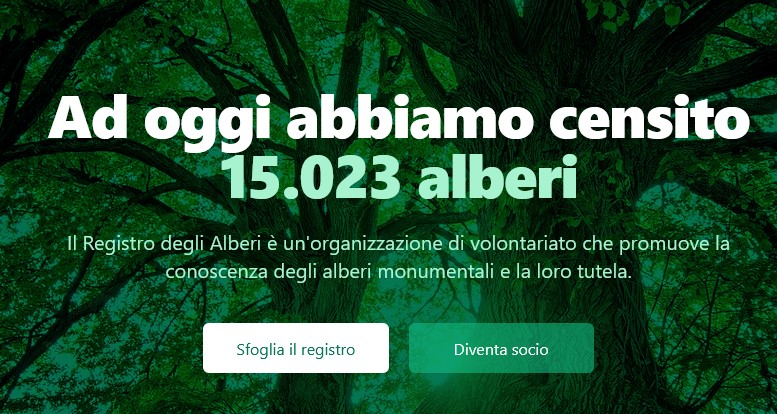 Scoprire alberi rari sul cammino d’Oropa Scoprire alberi rari sul cammino d’Oropa