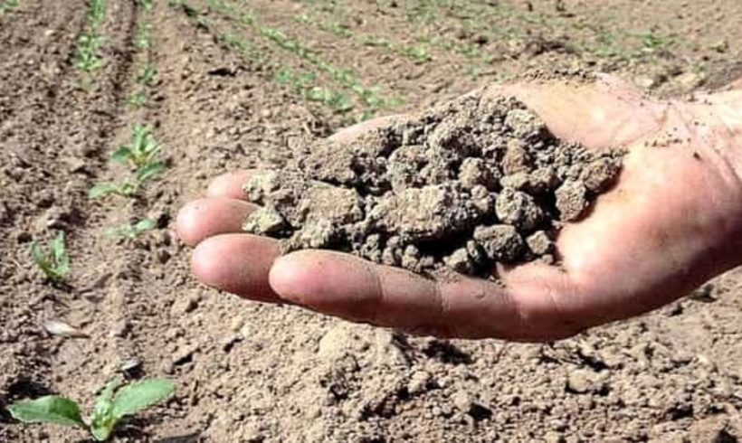 Emergenza siccità: il Governo inverta la rotta Emergenza siccità: il Governo inverta la rotta